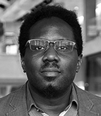 Deji Akinwande